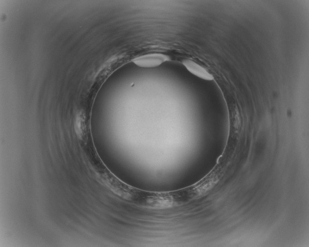 X0000078890559200611131233