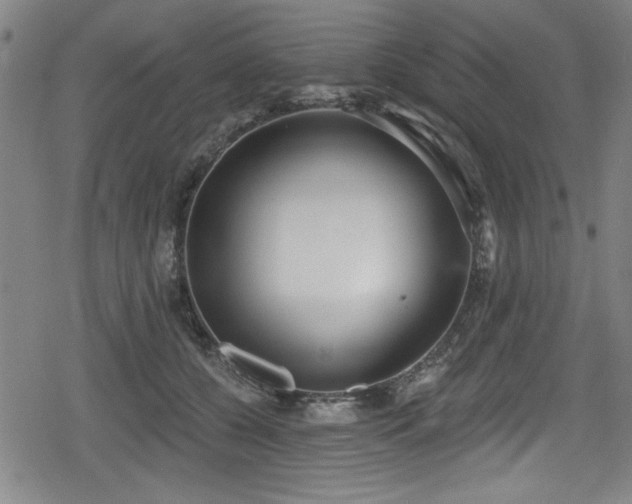 X0000078890560200611131233