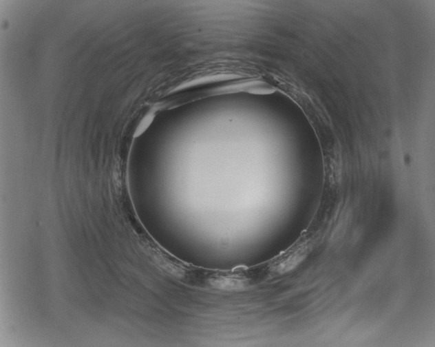 X0000078890561200611131233