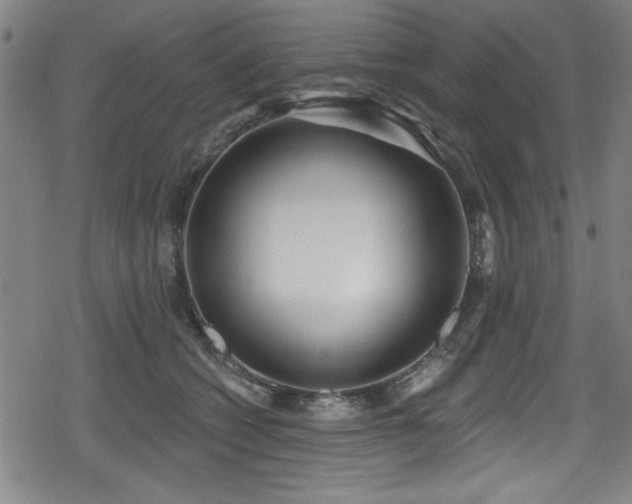 X0000078890562200611131233