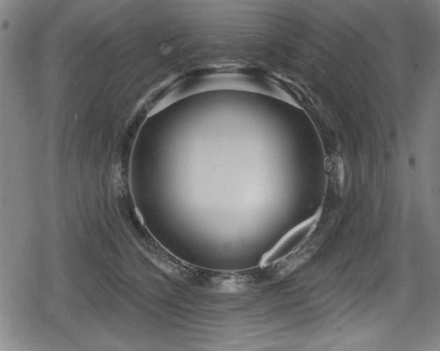 X0000078890564200611131233