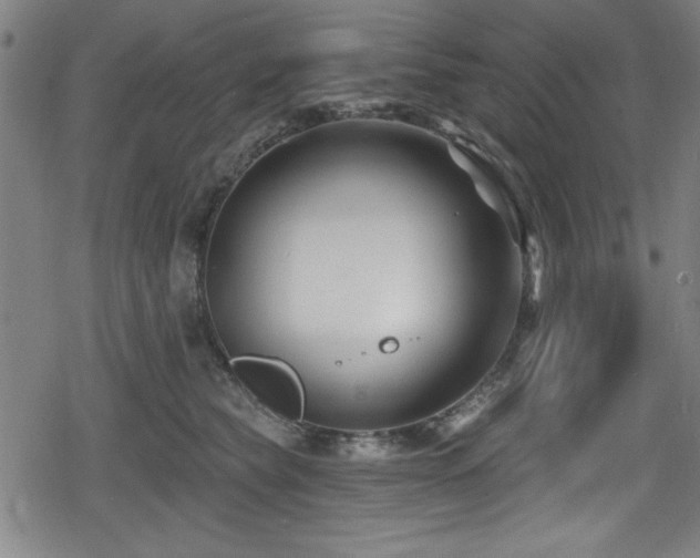 X0000078890565200611131233