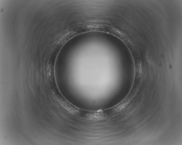 X0000078890567200611131233