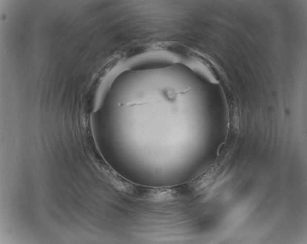 X0000078890569200611131233