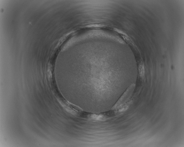 X0000078890570200611131233