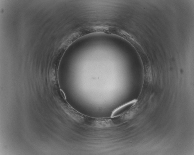 X0000078890571200611131233