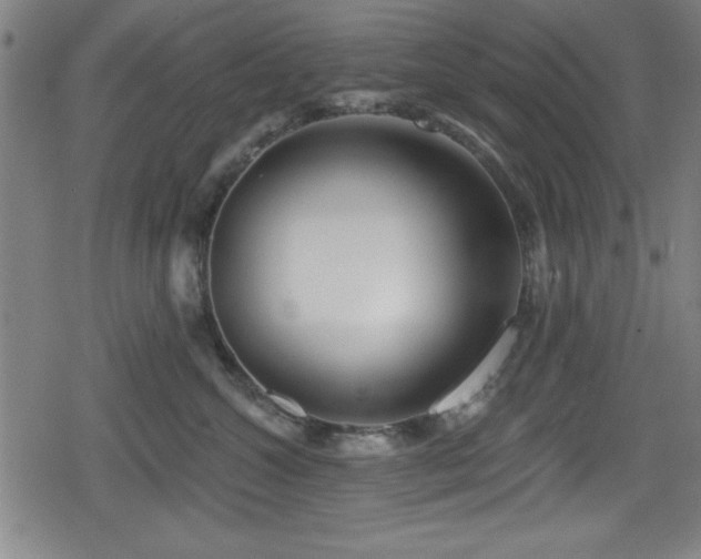 X0000078890572200611131233