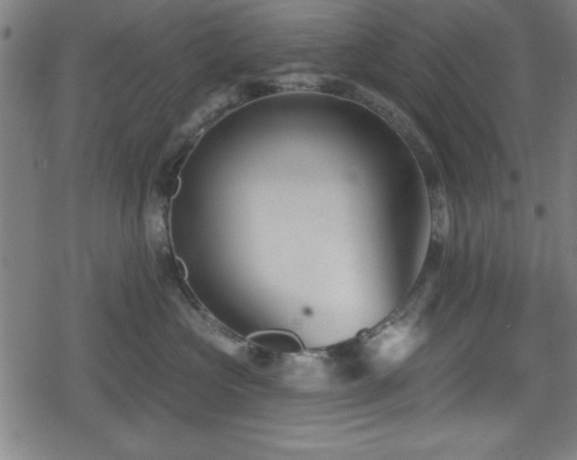 X0000078890573200611131233