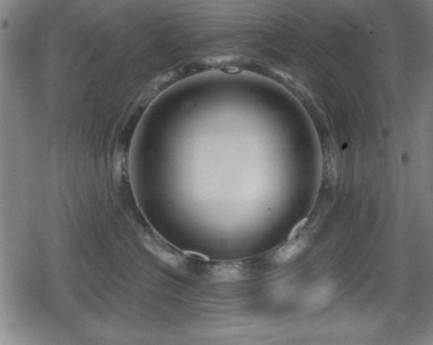 X0000078890574200611131233