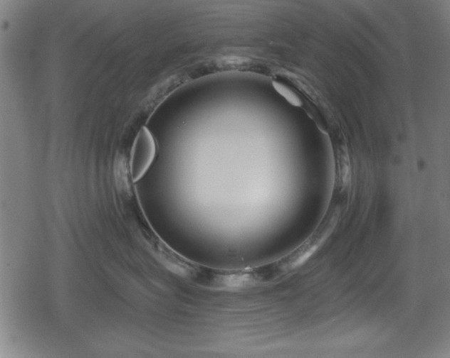 X0000078890575200611131233