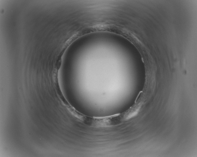 X0000078890576200611131233