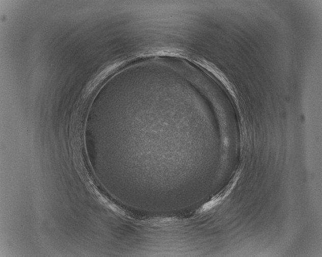 X0000078890577200611131232