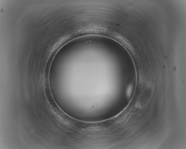 X0000078890578200611131232