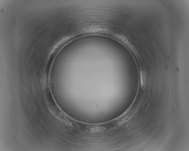 X0000078890579200611131232