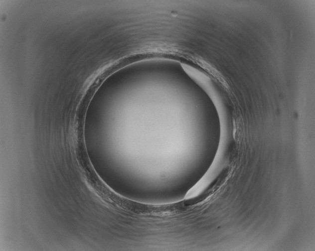 X0000078890580200611131232