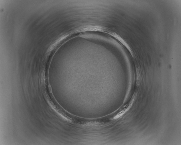 X0000078890581200611131232