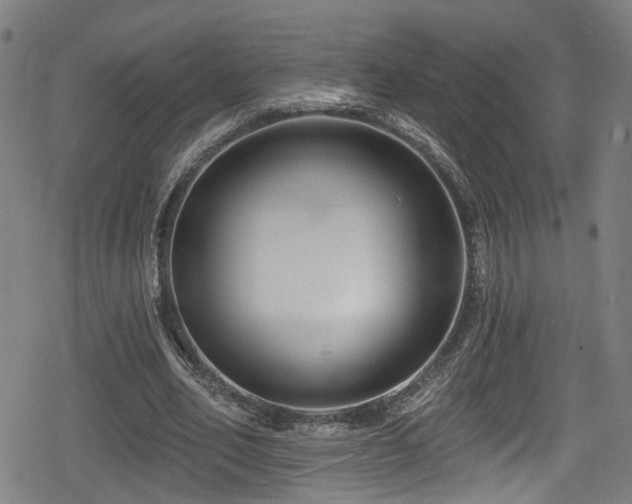 X0000078890582200611131232