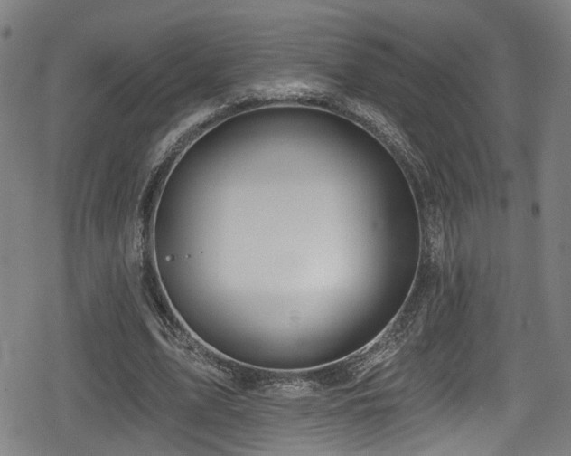 X0000078890583200611131232