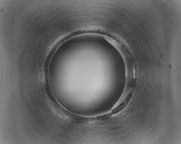 X0000078890584200611131232