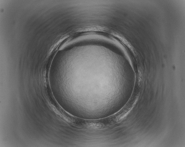 X0000078890585200611131232