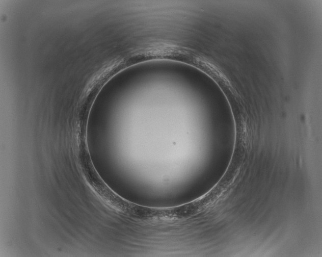 X0000078890586200611131232