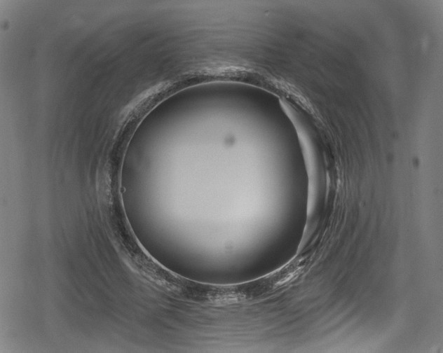 X0000078890587200611131232