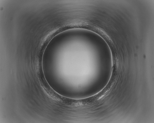 X0000078890588200611131232