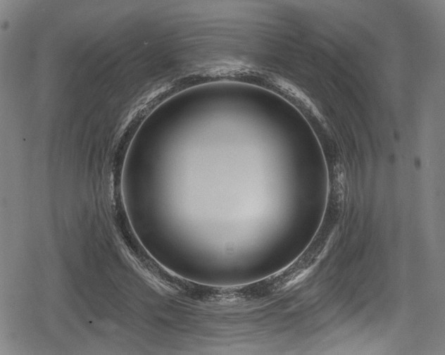 X0000078890589200611131232