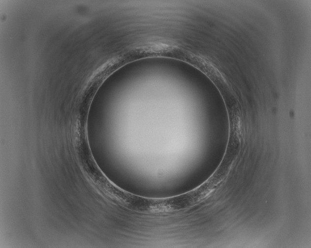 X0000078890591200611131232