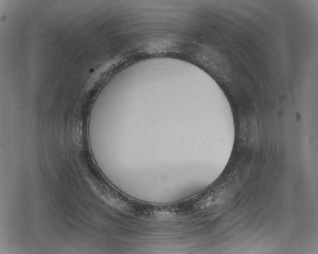 X0000078890592200611131232