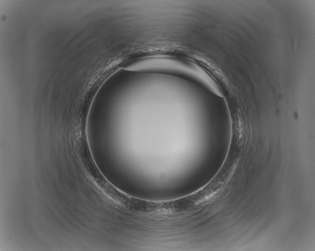 X0000078890593200611131232