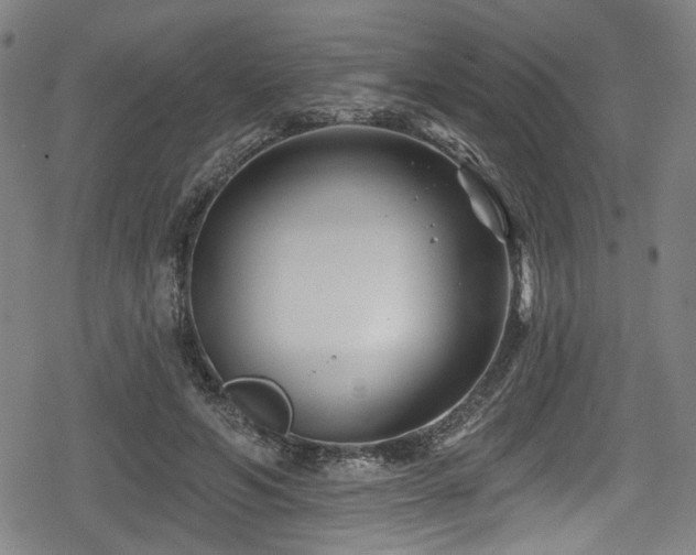 X0000078890594200611131232