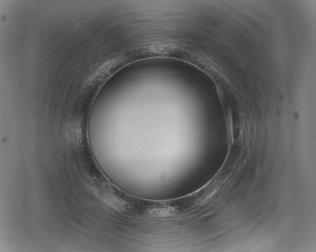 X0000078890595200611131232