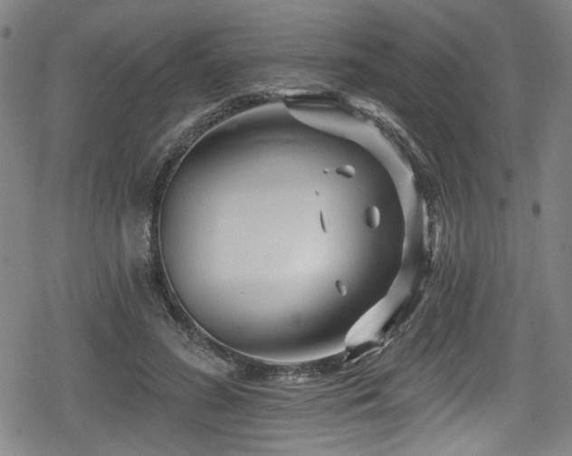 X0000078890596200611131232