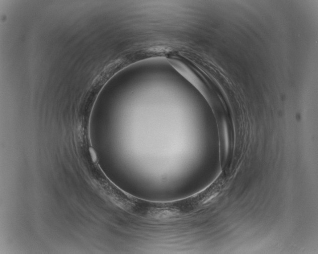 X0000078890597200611131232