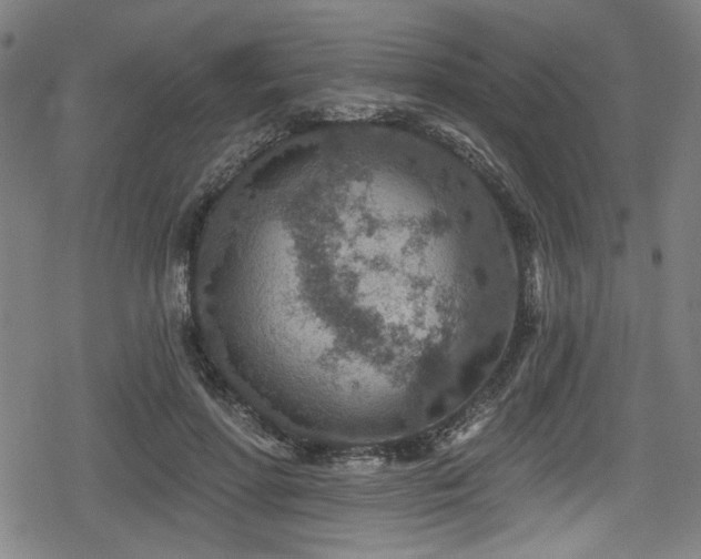 X0000078890598200611131232