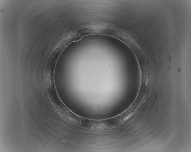 X0000078890599200611131232