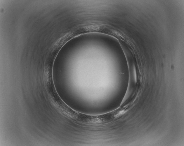 X0000078890600200611131232