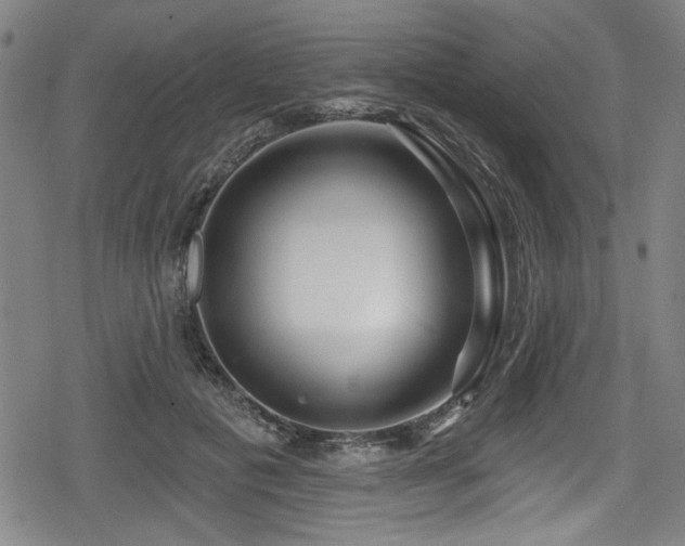 X0000078890601200611131232