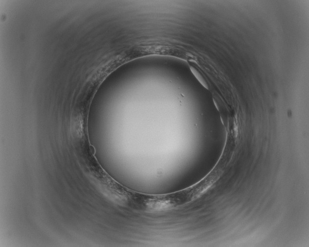 X0000078890602200611131232