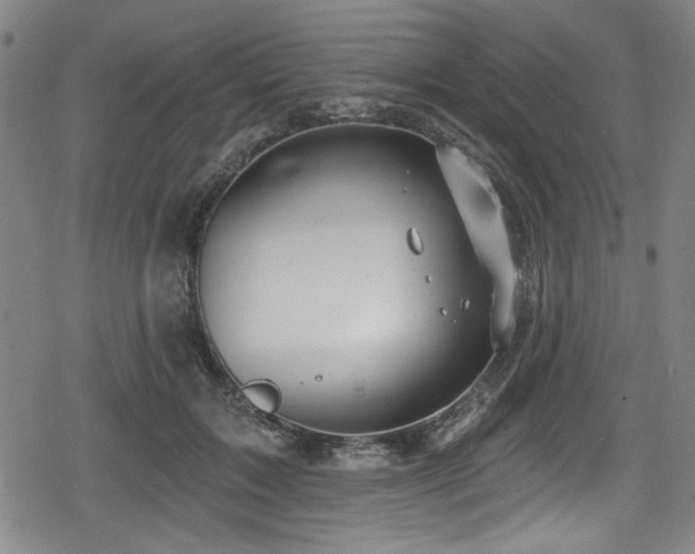 X0000078890603200611131232