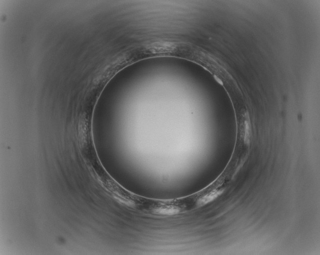 X0000078890604200611131232