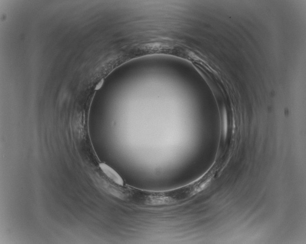 X0000078890605200611131232