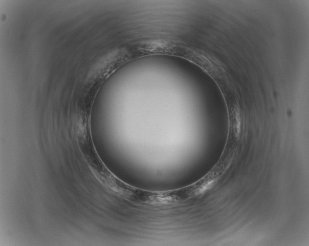 X0000078890607200611131232