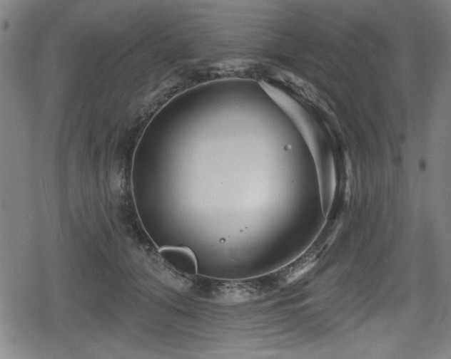 X0000078890608200611131231