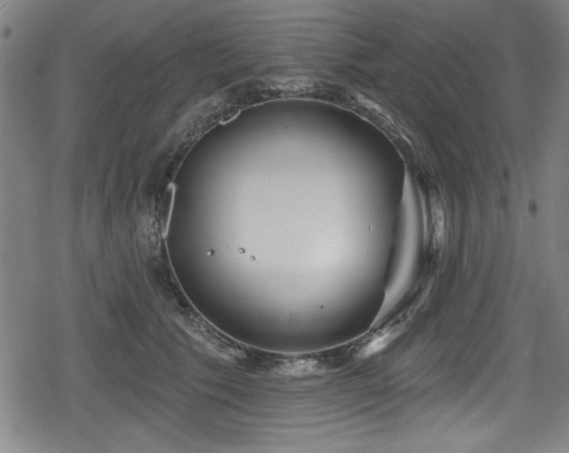 X0000078890609200611131231