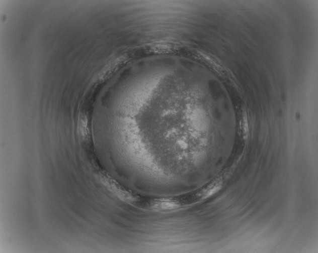 X0000078890610200611131231