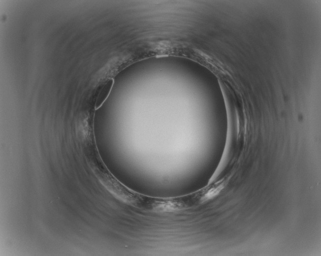 X0000078890611200611131231