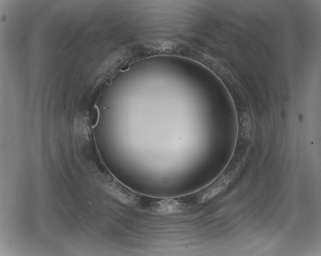 X0000078890612200611131231