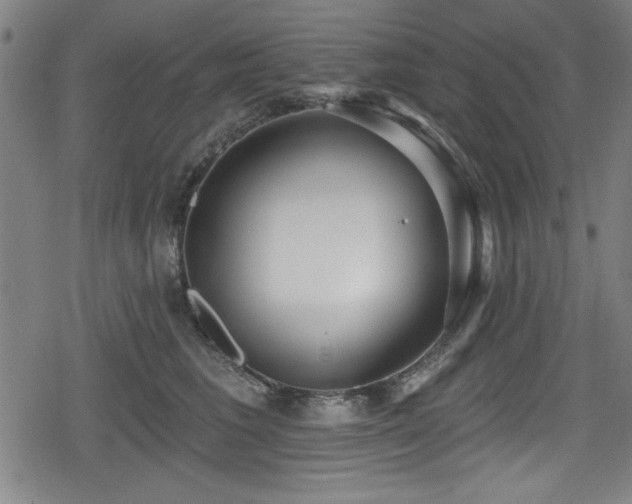 X0000078890613200611131231